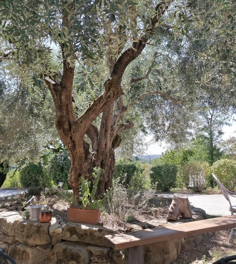 Villa La Brocca Di Valdichiascio à Gubbio Extérieur photo